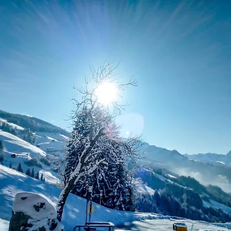 Wildbachl By Interhome 아파트