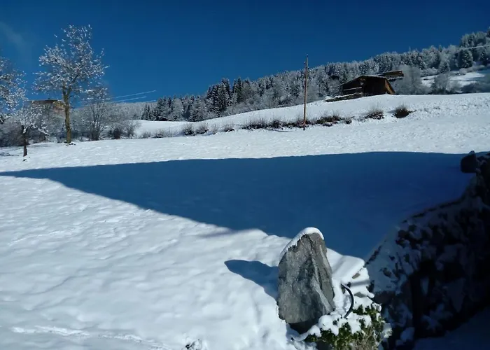 Wildbachl By Interhome Apartamento *